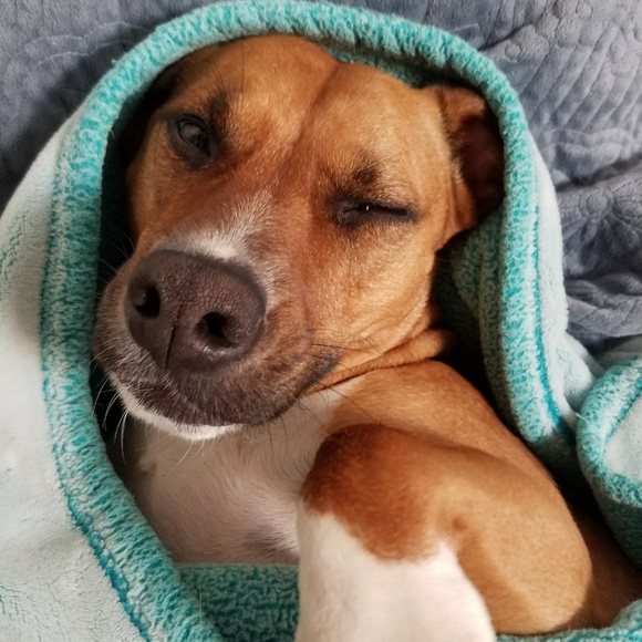 Meet your Posher, Heather - Picture 4 of 8